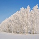 Зимний день